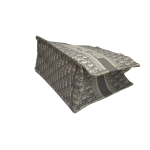 Dior Book Tote Tote Bag